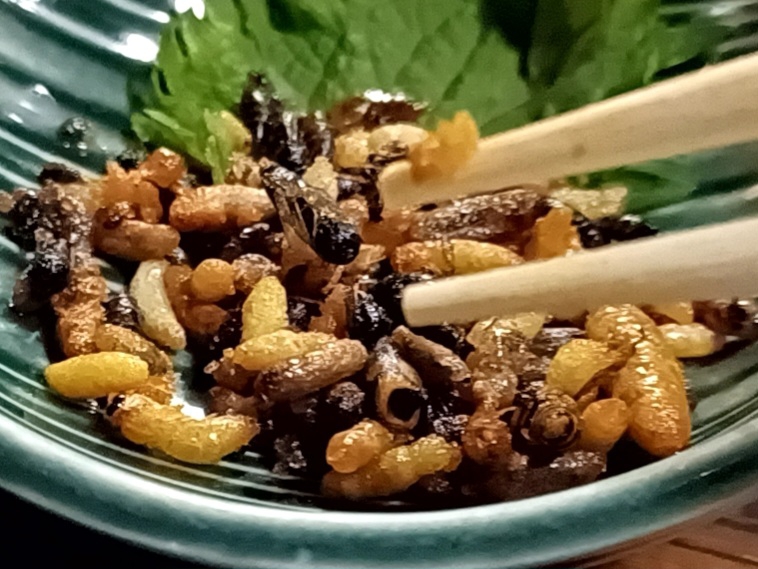 信州名物が食べれる居酒屋『焚㐂屋』🏮の6枚目の画像