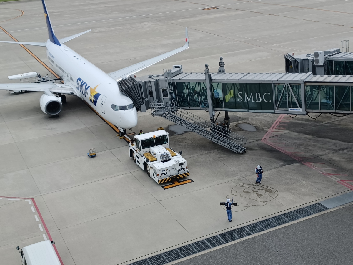 エビフライの飛行機!?の2枚目の画像