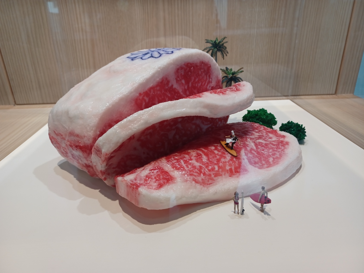 エビフライの飛行機!?の3枚目の画像