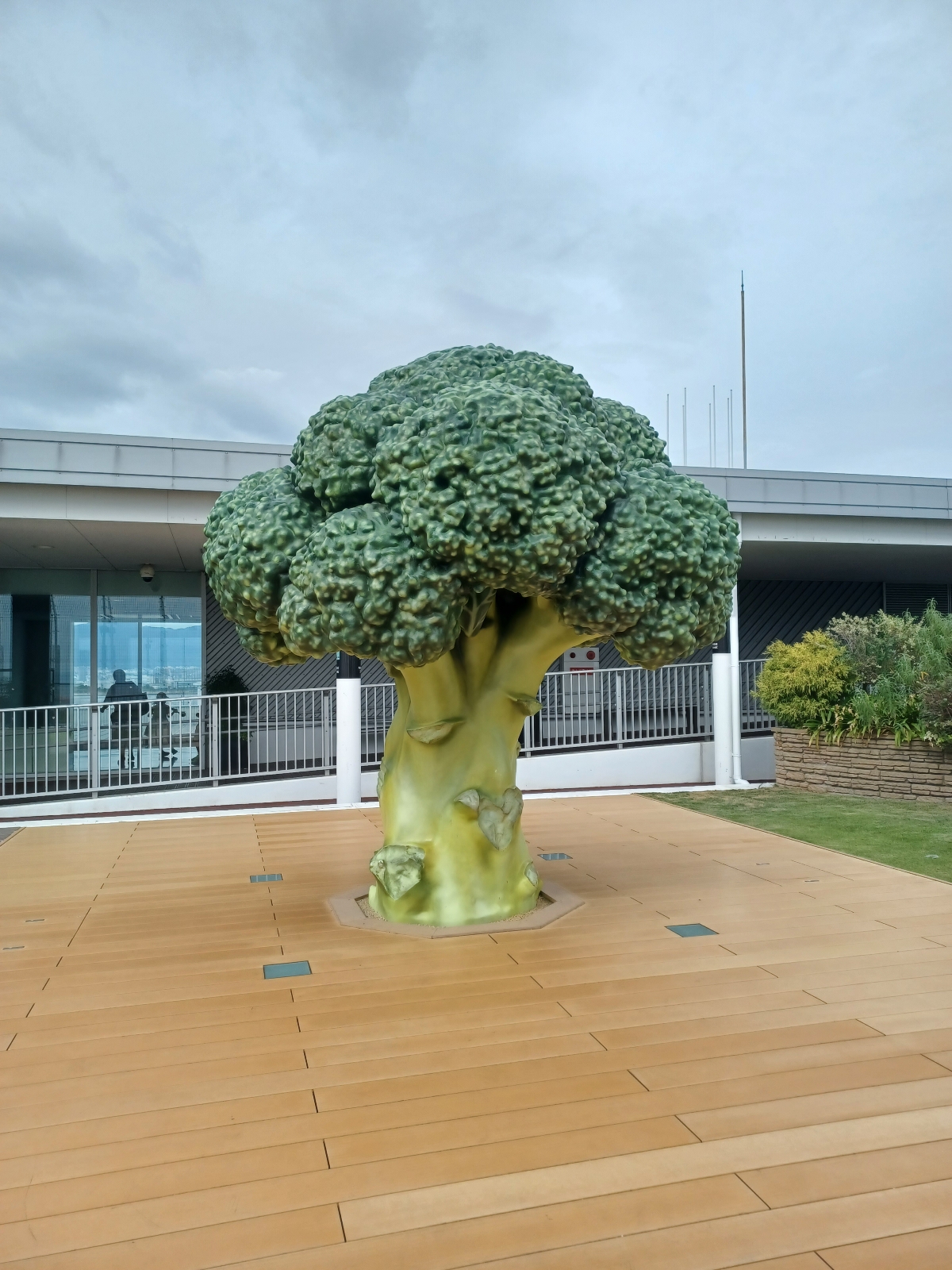 エビフライの飛行機!?の8枚目の画像