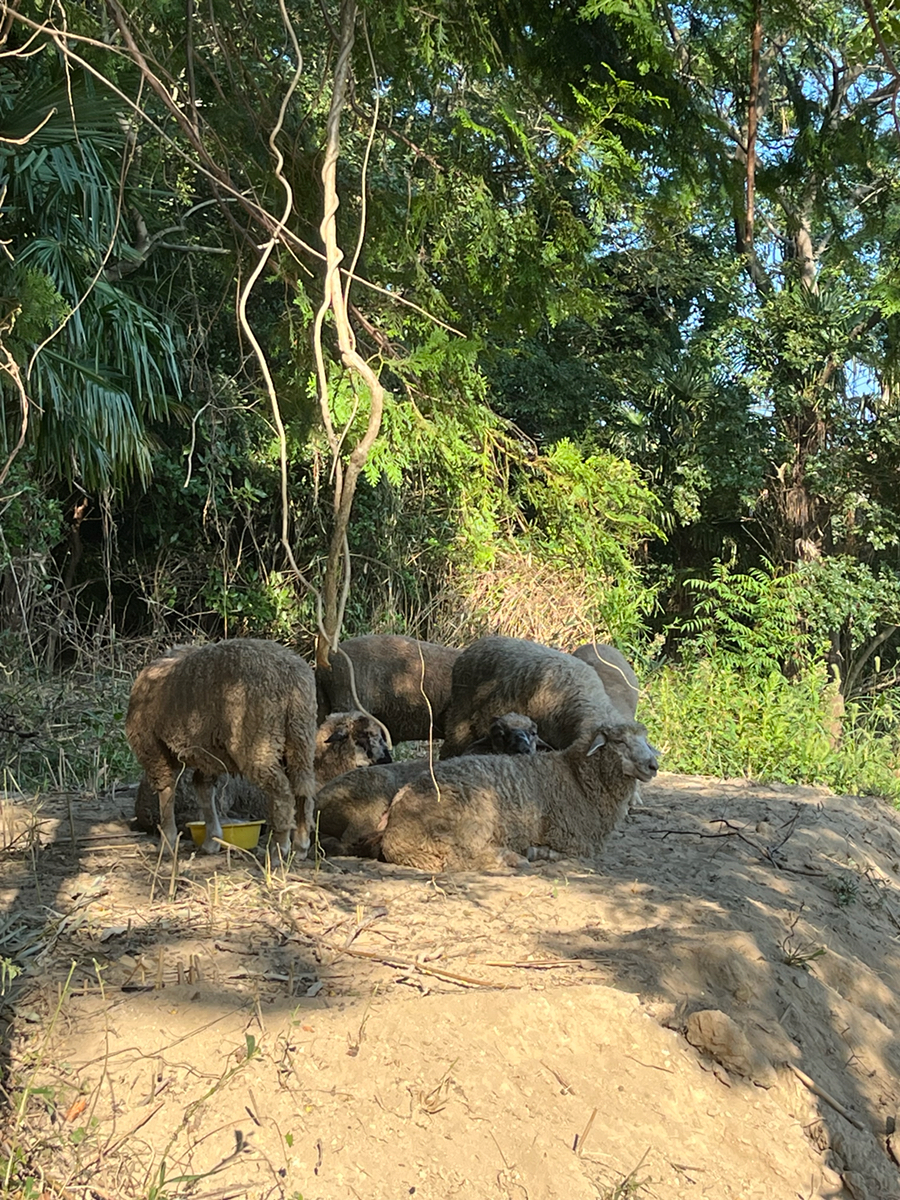 日本初(⁈)無人駅からクラフトビール醸造所併設の駅への6枚目の画像